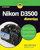 Algopix Similar Product 13 - Nikon D3500 For Dummies