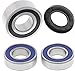 All Balls Wheel Bearing and Seal Kit