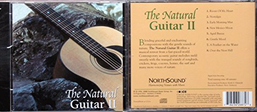 The Natural Guitar II