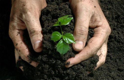 Urea Calcium 455gr Nitrate Nitrogen Plant Fertilizer 34% Nitrogen All Purpose