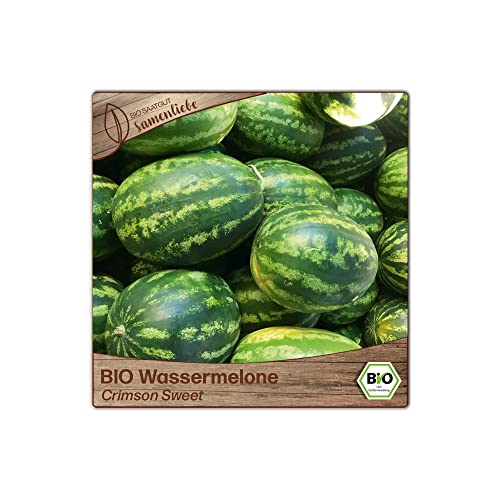 Samenliebe BIO Wassermelonen Samen alte Sorte Crimson Sweet süße Melone rund rot 10 Samen samenfestes Gemüse Saatgut für Gewächshaus Freiland und Balkon BIO Gemüsesamen - Image 6