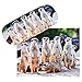 Price comparison product image VON LILIENFELD Meerkat Surikate Hard Glasses Case with Cleaning Cloth, Lightweight, Stable, Women Men Motif Animal