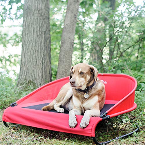 The Best 8 Dog Hammock Beds of 2022 FluentWoof The Only site