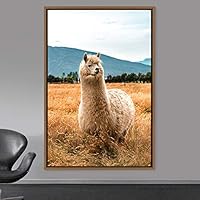 Framed Canvas Wall Art Llama Animals Camels Expressive Farmhouse/Country Living Room Multicolor Photography - 16x24 inches