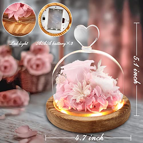 Preserved Flower Rose Gift For Women Mom, Light Up Fresh Flowers, Forever Pink Rose In Glass Dome, Birthday Flowers Gifts For Mothers Day, Roses Flowers For Delivery Prime For Anniversary Wedding #TOP3