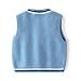 JAYPEIER Toddler's Cable Knit Vest, Sleeveless Sweater for Baby Boys, Color Clash Letter Patchwork Design Tops (US, Age, 6 Months, 9 Months, Blue)