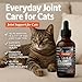 FUR/ROW Cat Hip & Joint Glucosamine Supplement, Chicken Gravy Flavor – Liquid Glucosamine with MSM, Chondroitin, Taurine & Hyaluronic Acid – Supports Mobility & Joint Comfort in Cats
