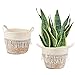 2 Piezas Macetas de Flores Naturales, Cesta de Almacenamiento Tejida, Cesta de Planta, Multifuncional, con Asas, para Maceta, Lavandería, Picnic, Salón Decorativo (Borla Beige)