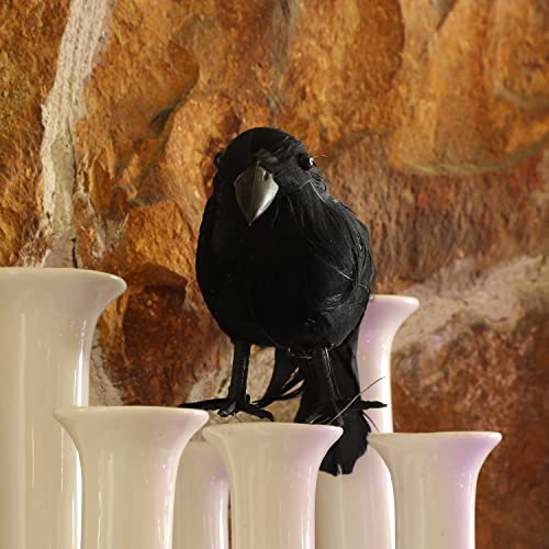 Pájaros de Halloween ATDAWN con plumas negras auténticas para un adorno realista 7