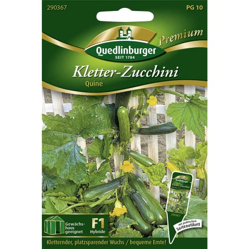 Quedlinburger Saatgut - Kletterzucchini Quine Samen