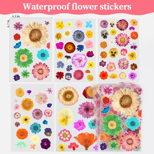 360 stickers de flores prensadas en 20 hojas miniatura 6