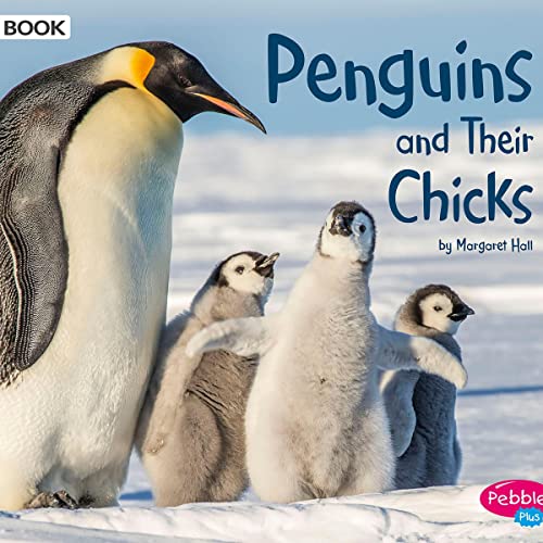 Penguins and Their Chicks by Margaret Hall episode artwork