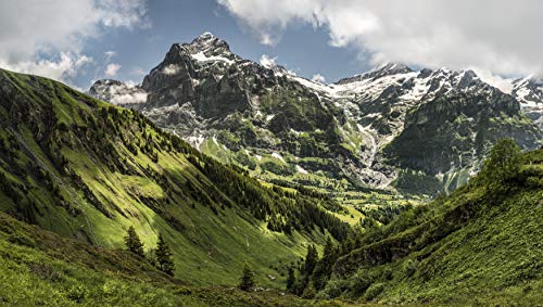 Ricola Berry Medley Bundle, Family Pack, Supplement Drops Family Bag, 45 Drops Per Bag, 2-Pack #TOP4