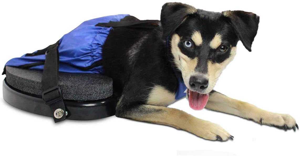 Walkin' Scooter for Rear Legs Paralyzed Pets Easy and Comfortable Indoor Mobility