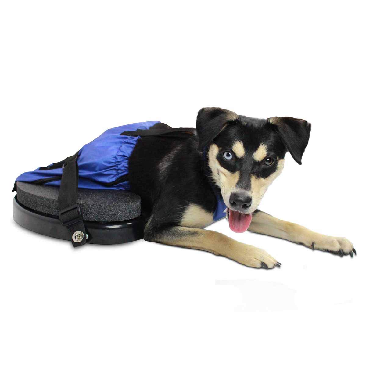 Walkin' Scooter for Rear Legs Paralyzed Pets Easy and Comfortable Indoor Mobility