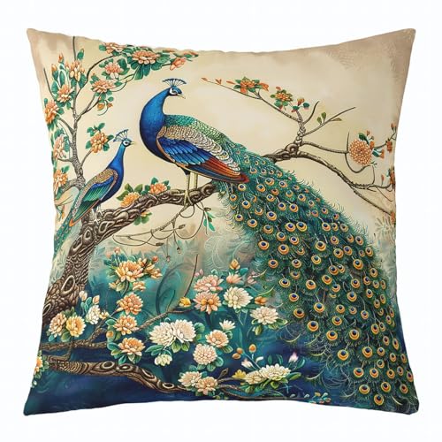 Housse de coussin paon 40x40 pour un canapé chic