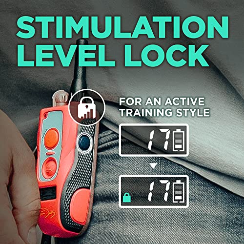 Image of Dogtra E-Collar Tom Davis 280C Boost & Lock, Waterproof, 1 /2-Mile Range Dog Training Collar with Remote, Rechargeable, 127 Levels, Vibration, Bungee, No Bad Dogs Trainer for Small, Medium, Large Dogs