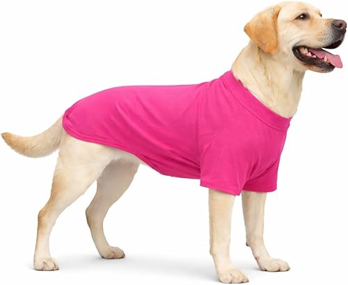 Miniatura 42 de Lovelonglong Ropa para mascotas, disfraces para perro, ropa de perro salchicha, camiseta en blanco para perros salchicha, Corgi 100% algodón, rosa