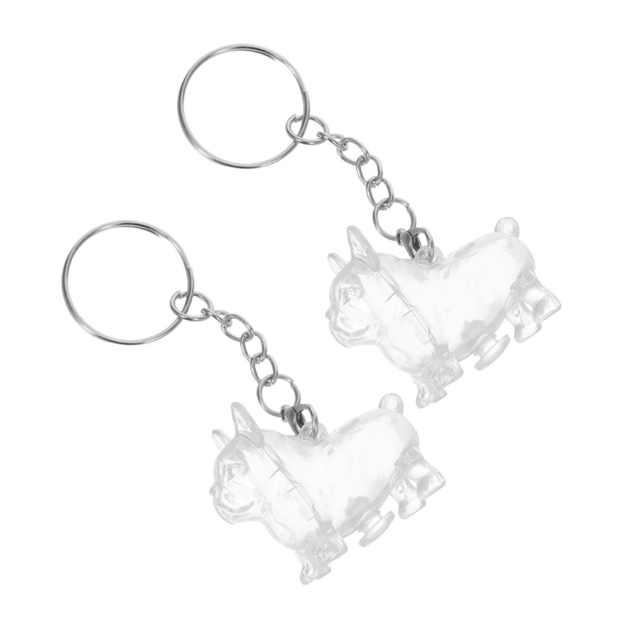 Rangement sécurisé poils de chien et chat en capsule transparente haut de gamme