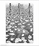 (11x14) M.C. Escher Three Worlds Art Print Poster