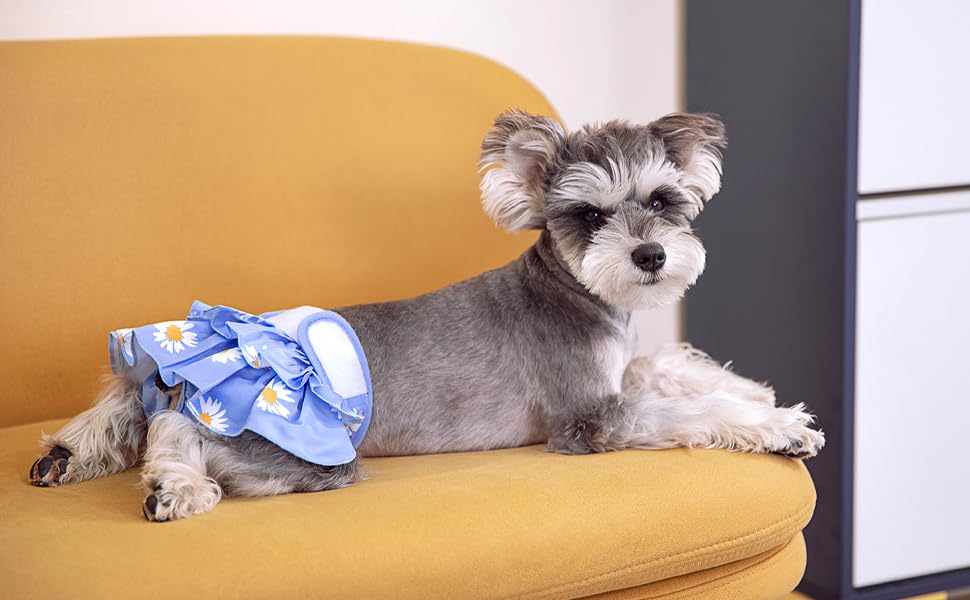 BePetMia Waschbare Windeln für Hunde, Wiederverwendbare Hundewindeln, Umweltfreundliche Damenbinden Höschen, Hygiene-Unterhose für Hunde in Hitze (XS: 20-35cm, Blau)