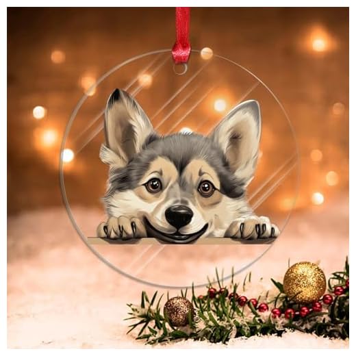 Swavecat Swedish Vallhund Ornament Christmas Decorations Gift Swedish Vallhund Cute Funny Peeking Dog Puppy Acrylic Christmas Ornaments Gift for Dog Mom Christmas Ornament New Year