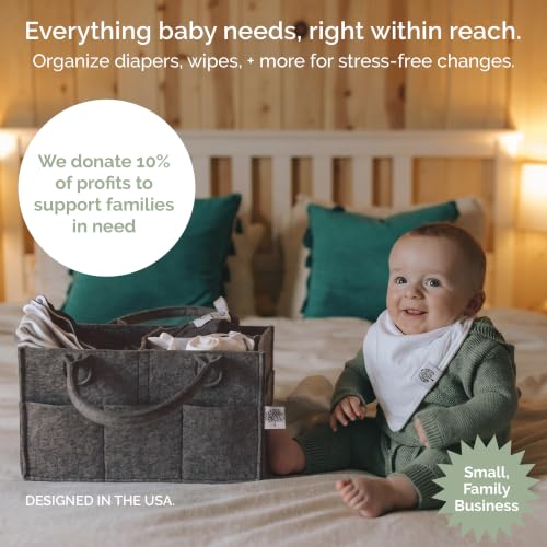 Image of Parker Baby Diaper Caddy - Nursery Storage Bin and Car Organizer for Diapers and Baby Wipes - Charcoal, Regular (Pack of 2)