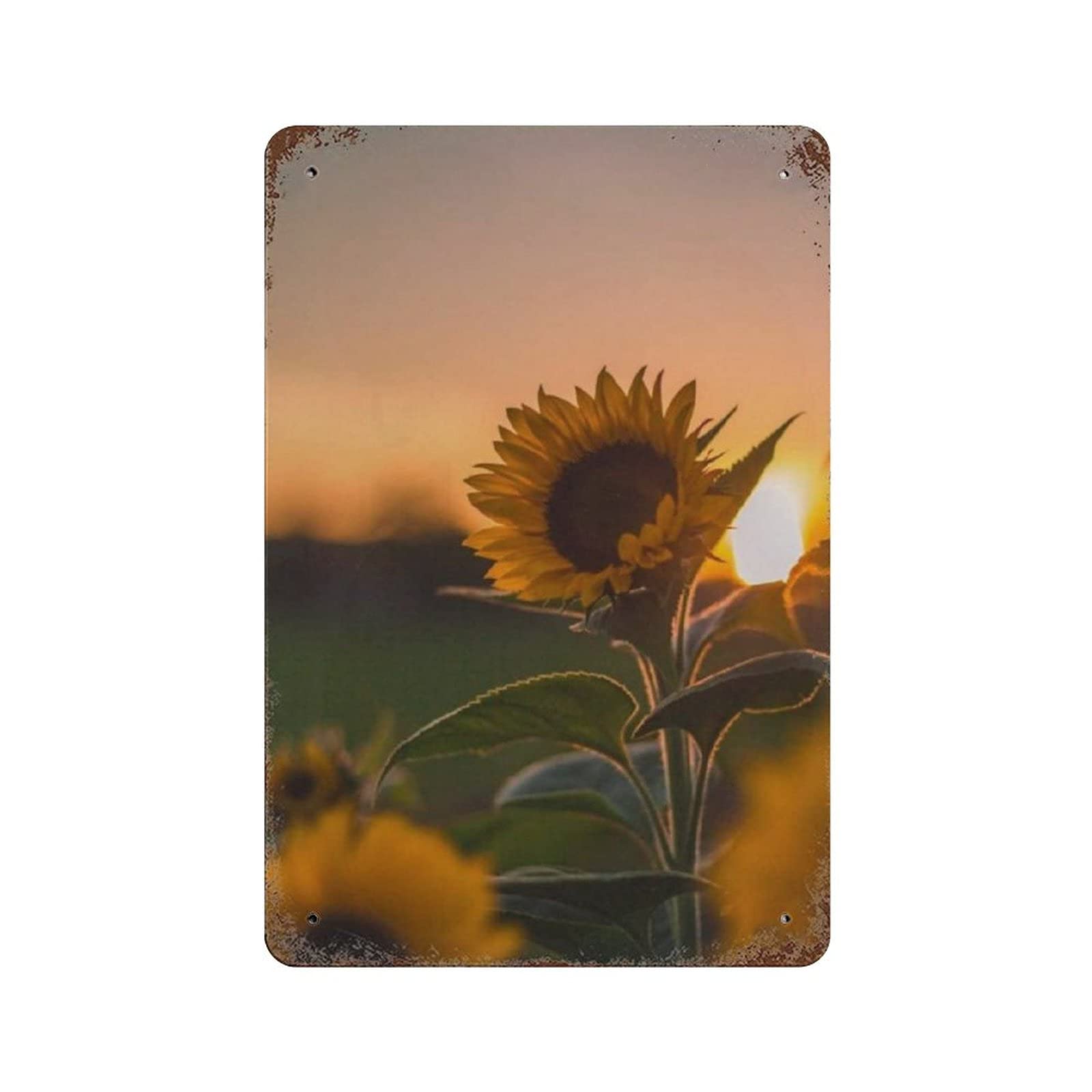 Metal Tin Sign Sunflower at Sunset Vintage Tin Poster Metal Sign Wall Decoration Country Kitchen Home Garage Decor 12"x8"