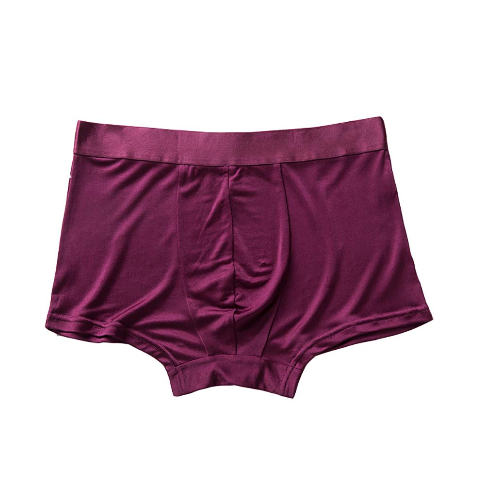 Lsharon Silk Men's Wine 100% Mulberry Silk Boxer Underwear Briefs Panties (, L)
