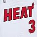 Dwyane Wade Miami Heat White 2005/06 Mens Swingman Jersey (US, Alpha, Large, Regular, Regular, White)