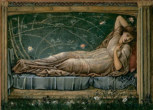 Toile La Bella Addormentata Burne Jones pour habiller un grand mur vide de salon 60x90