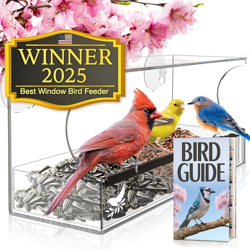 Window Bird Feeder by Nature’s Hangout - Award-Winning Clear Acrylic