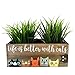 Lea Joelle Handmade Cat Planter, Life is Better With Cats Wood Decorative Box, Cat Mom, Catnip Planter, Cat Lover Gift (Natural Brown Wood)