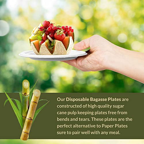Image of Reli. Compostable Paper Plates 7 inch (250 Pack Bulk) | White Disposable Plates | Heavy Duty Paper Eco Friendly | Made of Sugarcane Fibers /Bagasse - Biodegradable /Compostable | Small