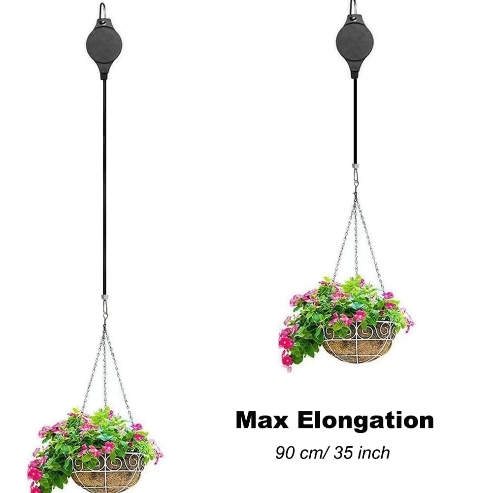 indoor plants large Large Majesty Palm Houseplant with Planter - Large (3-4' tall) Sand Planter
