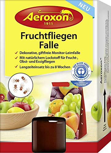 Preisvergleich Produktbild AEROXON Fruchtfliegen Falle 1 St