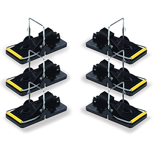 Juego de trampas reutilizables y fáciles de usar, para ratón, trampas para control de plagas, tamaño mediano, 6PCS Cover
