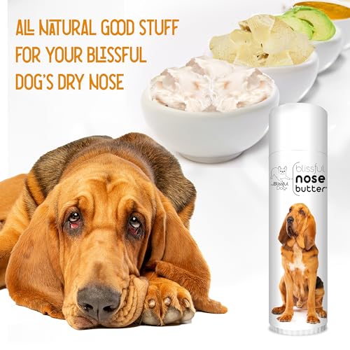 Image of The Blissful Dog Bloodhound Nose Butter for Dry, Cracked Skin, Lick-Safe Dog Nose Balm with Moisturizing Shea Butter, Almond, Olive, and Essential Oils, Pet Supplies, Uncented, 0.50 oz.