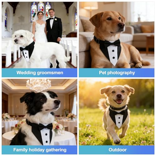 Disfraz de Tuxedo para Perros CoguZed Talla Mediana a Grande miniatura 6