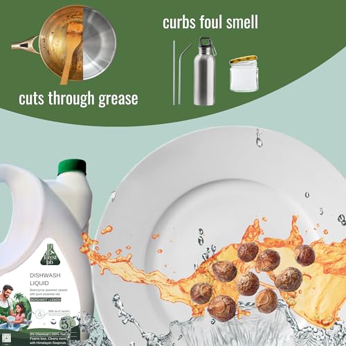 Image of Forest lab Natural & Organic Dishwash Liquid | 5 Litre | Leaves no residue | Non Toxic | Eco-Friendly | Baby & Pet-Safe | Skin-Safe | Bioenzyme | Soapnut | Essential oil (5 Litre)
