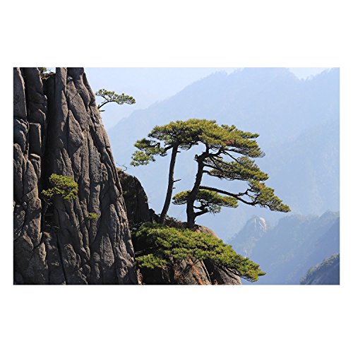 Poster paysage arbre et falaise du Sichuan pour créer un salon zen et une décoration épurée