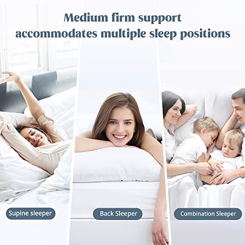 Puredown® Premium White Goose Feather And Down Pillows, 2 Pack Luxury Bed Pillows For Sleeping With 100% Cotton Cover, King Size #TOP3