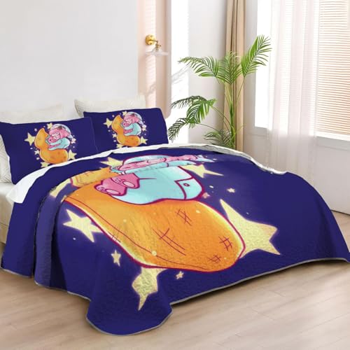 Allenjoy Queen Size Sleeping Child Illustration Quilt Bedspreads Glowing Stars Bed Set Bedding Coverlet Fabric Washable with 2 Pillow Shams SC00754-007