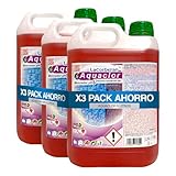 La Corberana Limpiador Desincrustante de Piscinas 5L – Desincrustante Cemento, Limpiador Piscina, Antical Piscina – Elimina Cal y Suciedad Incrustada con Máxima Potencia (Pack 3)