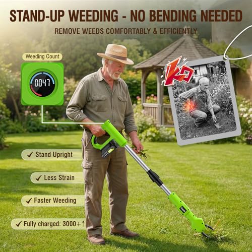 Outil électrique de désherbage 21V batterie outils de jardin