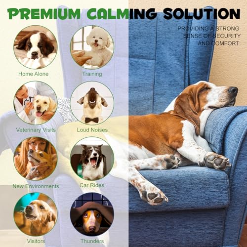 Beruhigende Pheromon Diffuser Nachfüllung(2Packs)|60-Tage Haustier Remedy Nachfüllungen,Beruhigende Stecker,Um Angst Und Stress Bei HaustierKatzeen Zu Reduzieren,Angstlinderung Bleiben Ruhiger (Hund)