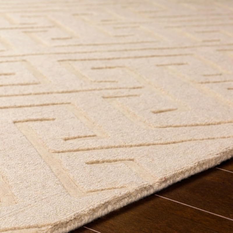 Image of Hand Tufted Modern Design Exported Collection High Low Pattern Wool Carpet for Living Room, Bedroom & Hall (Beige O, 5 x 7 Feet)
