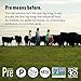 Pre, Beef Burger Patties 85% Lean/15% Fat, Grass-Fed, Pasture-Raised | 0.66625 lbs. | Pack of 2