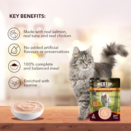 Image of Meat Up Adult Wet Cat Food 16 Pouches x 50g, Total 800g | Real Salmon Fish in Gravy | Supports Heart & Vision Health | Strong Bones & Teeth | Natural Flavours | Organic Minerals & Vitamins