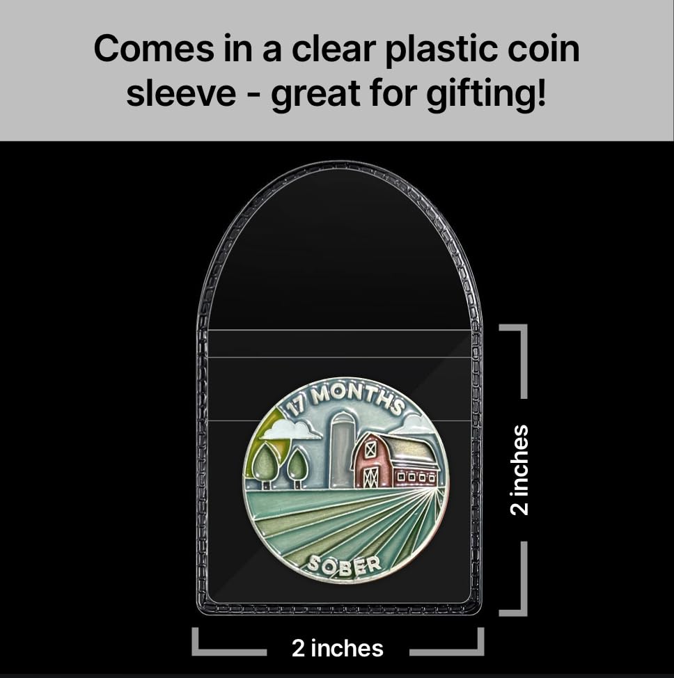 Image of The Achieve Mint 17 Months Sober Token | Seventeen Months Sober Chip | Non-AA Gift, Non-Religious Medallions for Men and Women Celebrating Sobriety